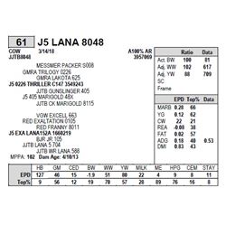 J5 LANA 8048