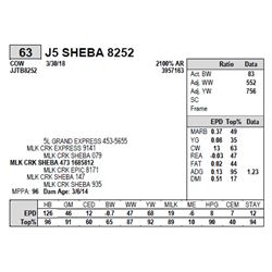 J5 SHEBA 8252