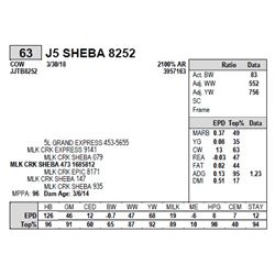 J5 SHEBA 8252