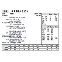 J5 REBA 8253