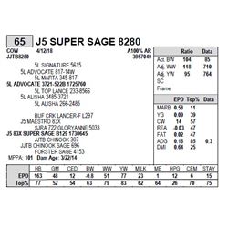 J5 SUPER SAGE 8280