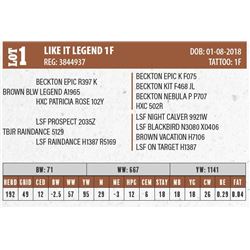 LIKE IT LEGEND 1F