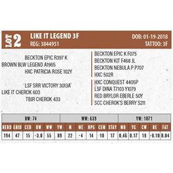 LIKE IT LEGEND 3F