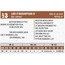 LIKE IT REDEMPTION 5F