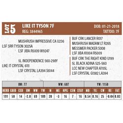 LIKE IT TYSON 7F