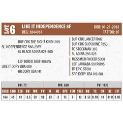 LIKE IT INDEPENDENCE 8F