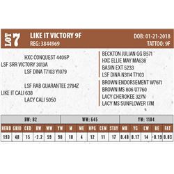 LIKE IT VICTORY 9F