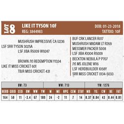 LIKE IT TYSON 10F