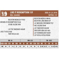 LIKE IT REDEMPTION 11F