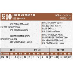 LIKE IT VICTORY 13F