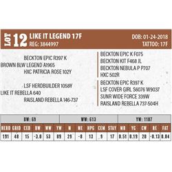 LIKE IT LEGEND 17F