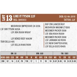LIKE IT TYSON 22F (NO VIDEO)