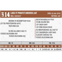 LIKE IT PROFIT DRIVEN 24F