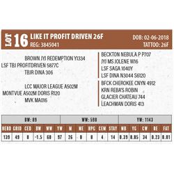LIKE IT PROFIT DRIVEN 26F