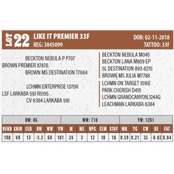 LIKE IT PREMIER 33F