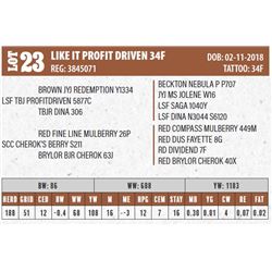 LIKE IT PROFIT DRIVEN 34F