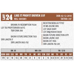 LIKE IT PROFIT DRIVEN 35F