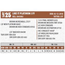 LIKE IT PLATINUM 37F (NO VIDEO)