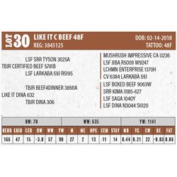 LIKE IT C BEEF 48F