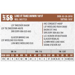 LIKE IT TAKE DOWN 101F