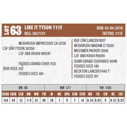 LIKE IT TYSON 111F