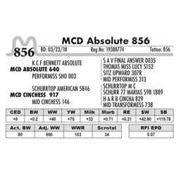 856 - MCD Absolute 856