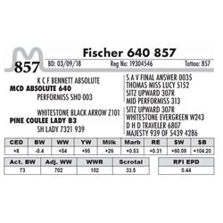 857 - Fischer 640 857