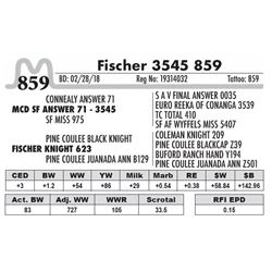 859 - Fischer 3545 859