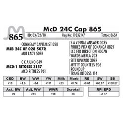 865 - McD 24C Cap 865