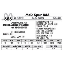 888 - McD Spur 888