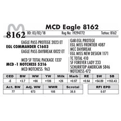 8162 - MCD Eagle 8162