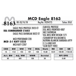 8163 - MCD Eagle 8163