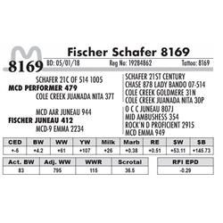 8169 - Fischer Schafer 8169