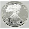 Image 3 : 2015-W AM. SILVER EAGLE NGC PF69 UC