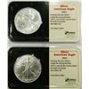 Image 1 : 2-2001 AMERICAN SILVER EAGLES