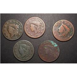 5-LARGE CENTS