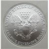 Image 3 : 2007 AMERICAN SILVER EAGLE IGS MS 70