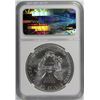 Image 4 : 2014 AMERICAN SILVER EAGLE NGC MS 70
