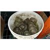 Image 2 : PAIL OF GLASS INSULATORS