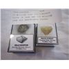 Image 1 : 70 MILLION YEAR OLD DINOSAUR TOOTH IN CASE AND 370 MILLION YEAR OLD BRACHIOPOD FOSSEL