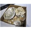 Image 2 : TRAY OF SHELLS