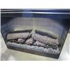 Image 2 : DIMPLEX FIRE PLACE INSERT