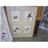 Image 2 : 2 LARGE BIRD AND FLOWER PRINTS