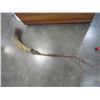 Image 1 : WITCHES BROOM