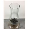 Image 7 : COAL OIL LAMP  (DECORATIVE GLASS)