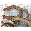 Image 2 : LOT OF 8 HORSESHOES (ANTIQUE)