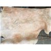 Image 3 : COWHIDE (APPROX 46” X 36”)