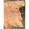 Image 2 : COWHIDE (APPROX 35” X 28” )