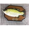 Image 2 : BIG MOUTH BILLY BASS SINGING FISH W/BOX