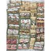 Image 1 : LARGE STEREOSCOPE CARD LOT